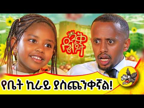 እሼ እና ኒሞና የጦፈ ክርክር ገጥመዋል። "ሰላም የለውም እንዴ ሰውየው?!" #habesha #comedy #dinklejoch #eshetumelese