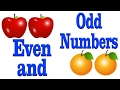Exploring Even and Odd Numbers