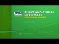 Ecosystem Functions and Nutrient Recycling