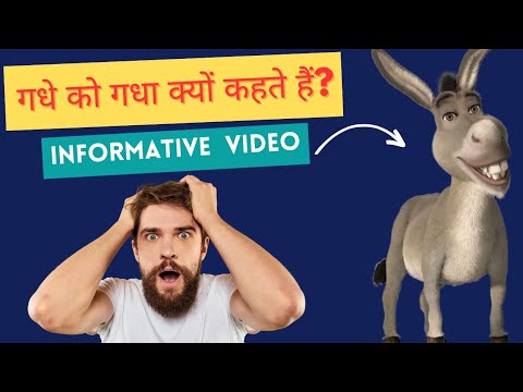 गधे को गधा क्यों कहते हैं 🤔 😂| Facts about donkey #animalfacts