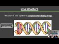 DNA Structure and Function Concepts
