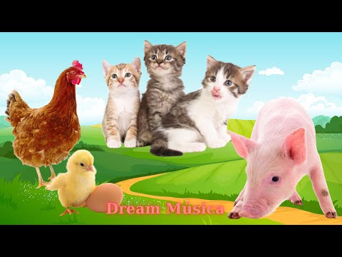 Cute Farm Animals: Horse, Hen, Chickling, Cat, Pig, Sheep - Animal Videos