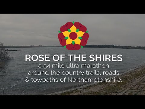 rose of the shires ultra
