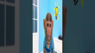 a la mier- Longody cuánto swag