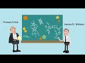 Exploring the Impact of DNA Structure Discovery