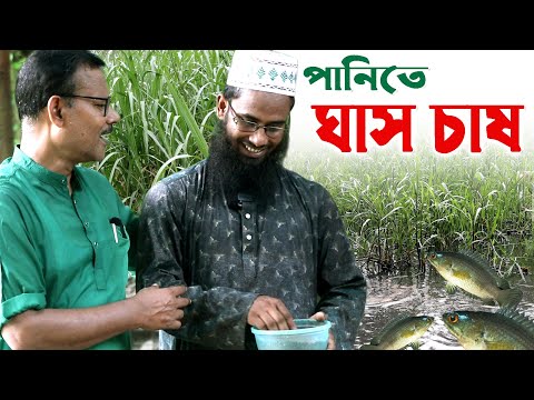 939-গরুর খামার করতে চাইলে প্রথমেই যা শিখতে হবে-র.ই মানিক চিত্রপুরী R.I.Manik.Chitrapuri Krishichitra