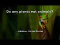 Exploring the World of Plants