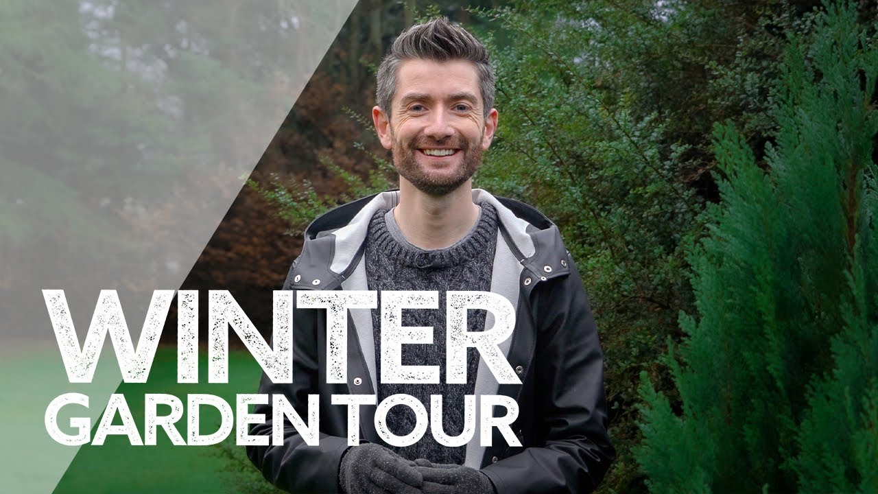 Winter Garden Tour | My Irish Country Garden in Winter