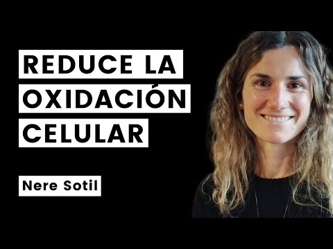 Nere Sotil // Reducir la oxidación celular: mejores estrategias