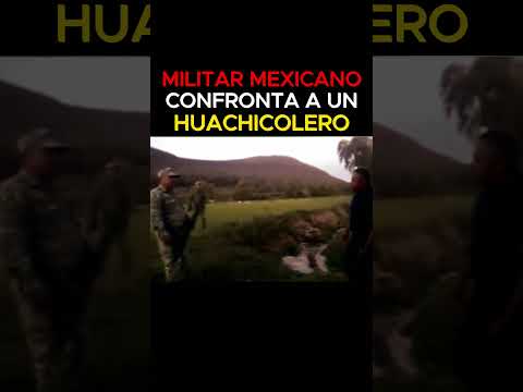 ⚠️MILITAR MEXICANO CONFRONTA a un HUACHICOLERO⚠️ | Curiosidades Bélicas #ww2 #army #military