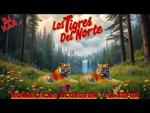 LOS TIGRES DEL NORTE ROMANTICOS Y ROMANTICAS CON ACORDEON Y SAXOFON PURAS ROLAS LLEGADORAS