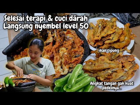 SELESAI CUCI D4RAH & TERAPI LANGSUNG MASAK MENU KECINTAAN‼️ ENDINGE ANGKAT TANGAN GAK KUAT PEDESE