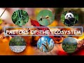 Abiotic Factors and Ecosystem Dynamics