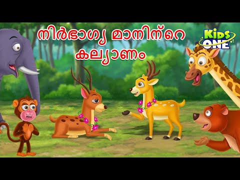 നിർഭാഗ്യ മാനിന്റെ കല്യാണം The Unlucky Deer's Wedding in Malayalam Stories | Malayalam Fairy Tales