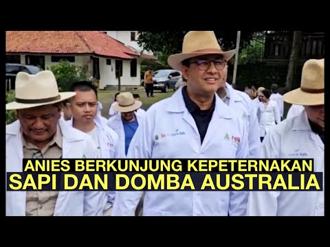 SIANG INI‼️ANIES BERKUNJUNG KE PERTERNAKAN SAPI DAN DOMBA AUSRALIA DI GARUT