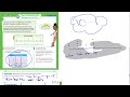 Data Analysis and Interpretation