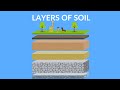 Exploring the Layers of Soil