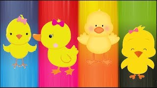 Wrong Heads Cute Animals Chick Finger Family Cute Animals Chick