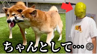 【癖しかない】とーちゃんのせいで、めちゃくちゃです