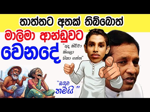 Lesson 864–  තාත්තට අතක් තිබ්බොත් මාලිමා ආන්ඩුවට මම ...-English in Sinhala |  Ideal guide to English