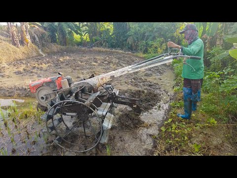 Joki Muda Traktor Tugas Nyingkal Tanah, Bagian Garu Diambil Alih Joki Senior