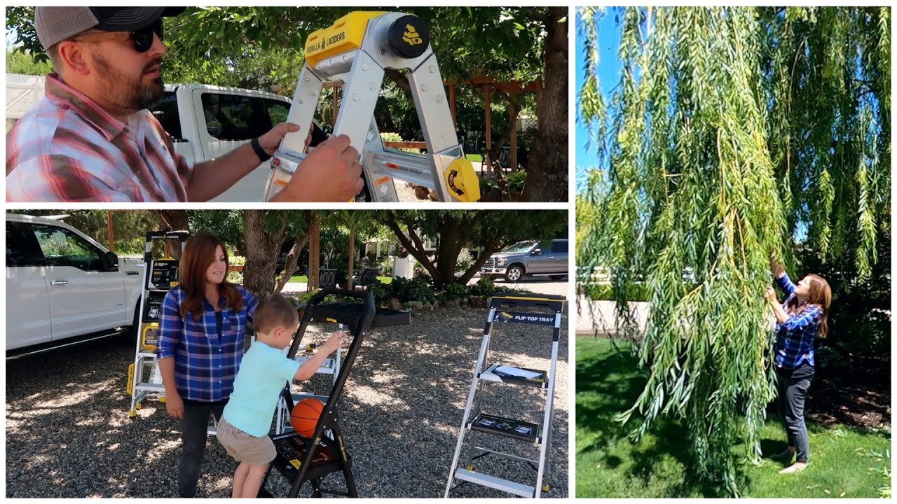 Gorilla Ladder Giveaway & Pruning Our Weeping Willow!