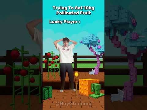 Types of Players when Bees Go Pollinating | Grow a Garden