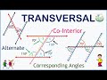 Exploring Angles Formed by Parallel Lines and a Transversal