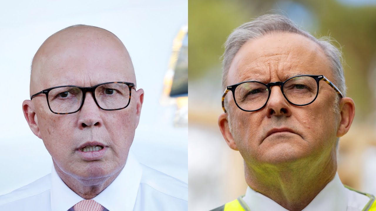 Albanese and Dutton have ‘performed poorly’ on Russia Indonesia security concern