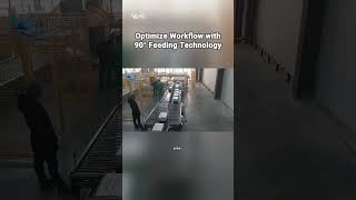 Revolutionize Your Factory with Low-Level Gantry Palletizer & 90° Feeding