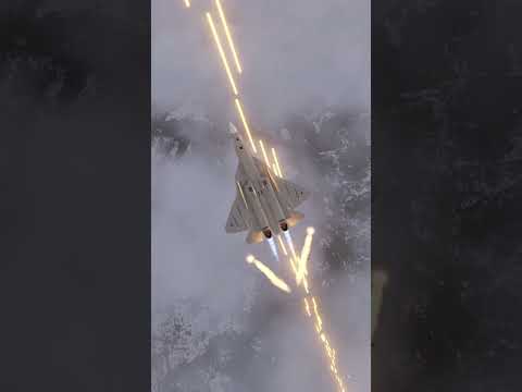 Felon eats bullets | F/A-18C vs Su-57 | DCS