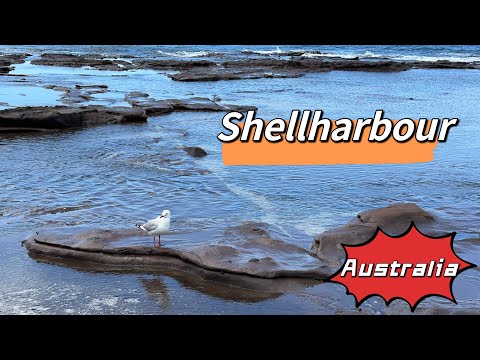 ShellharbourAustralia
