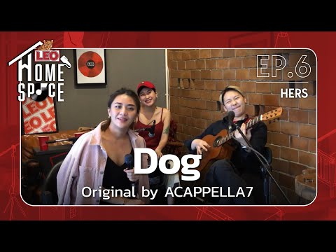Dog---HERS-|-LEO-Home-Space-|-