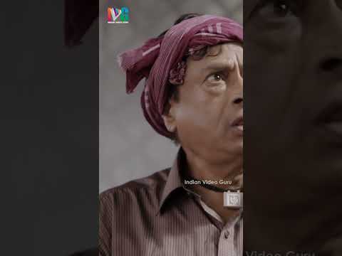బాగున్నావా బాబు.. అని అడిగాను అంతే!😂 | Race Gurram Movie | Allu Arjun | Shruti Hassan | #shorts