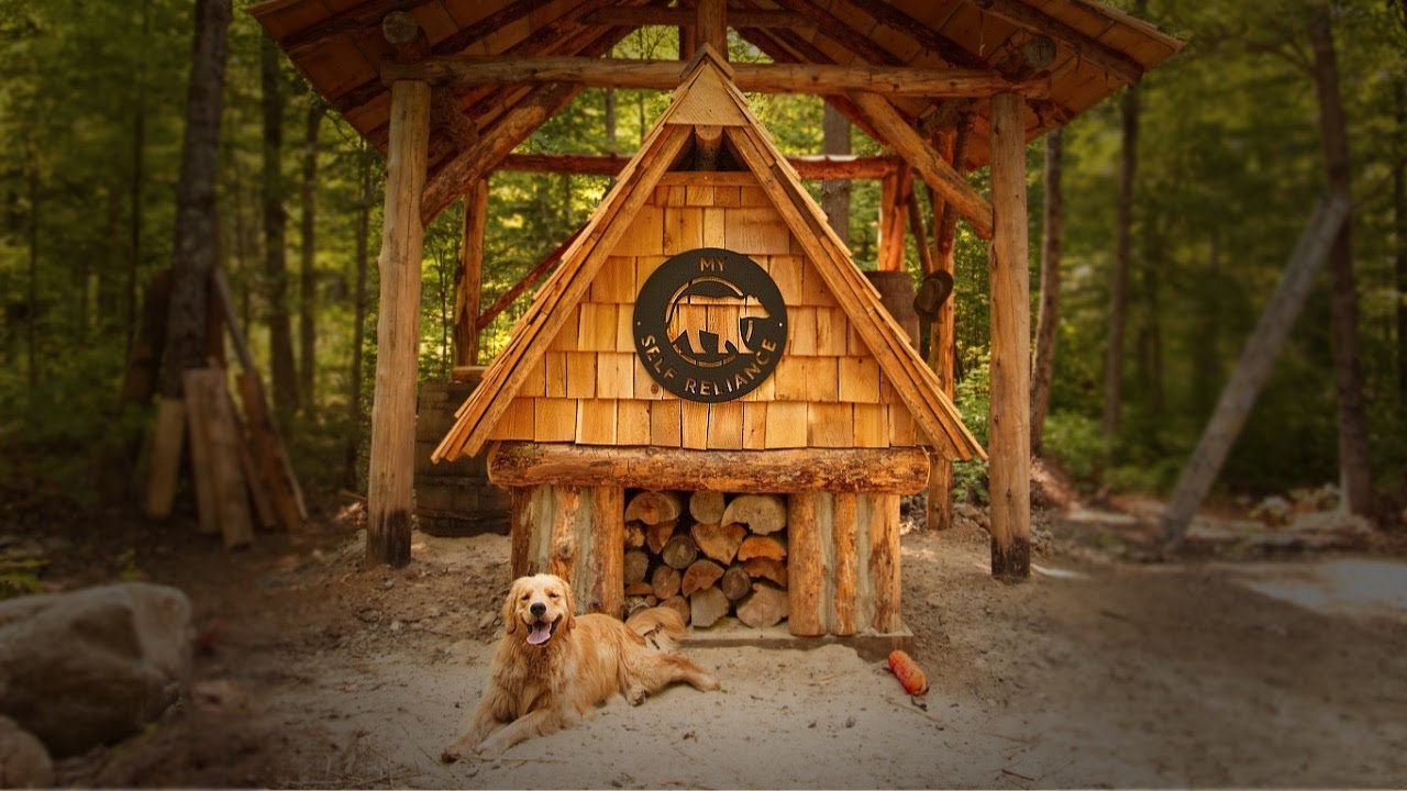 NOT Alone with My Dog at the Log Cabin, Wild Edibles, Wild Life, Hugelkultur