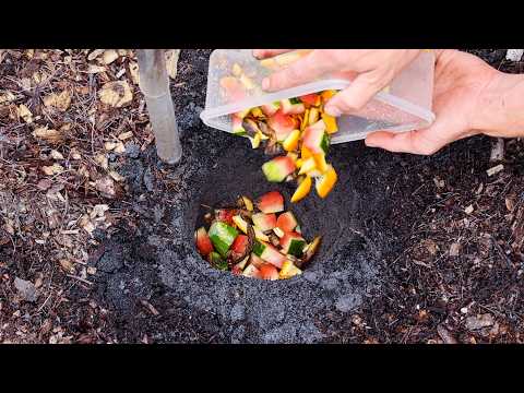 Just Bury Food Scraps Under Your Plants and This Happens