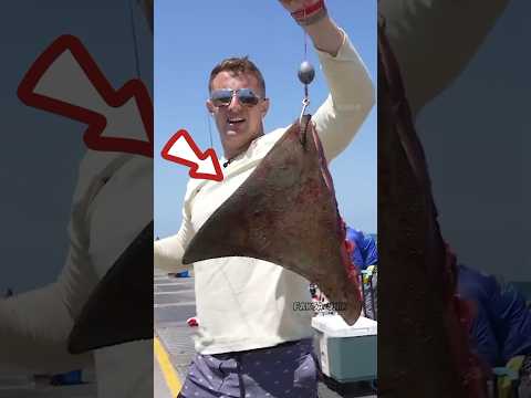 Mancing ikan penunggu bawah jembatan 😱 #shorts #viralvideo #fishing #mancing #ikan #ikankerapu