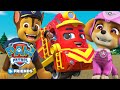 Paw Patrol Adventure Questions