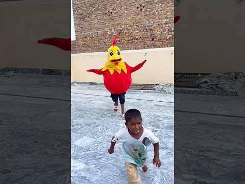 rooster 🐔🐓 Sy panga theak nhe