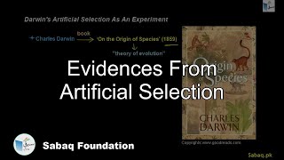 Evidences From Artificial Selection