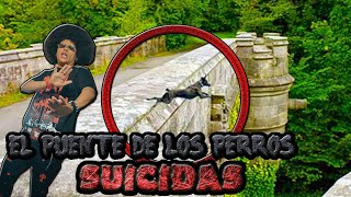 El Puente de los Perros Suicidas | DOCUMENTAL 2025