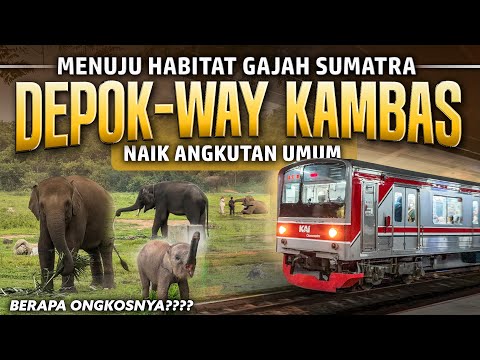 Cara Ngeteng ke Taman Nasional Way Kambas Naik Angkutan Umum