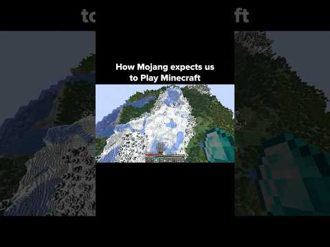 Minecraft Mojang Moment