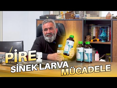 Pire ve Sinek larva ile nasıl mücadele edilir