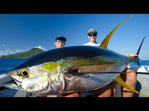 MASSIVE Mexican Tuna... Catch Clean Cook (Yellowfin Tuna)