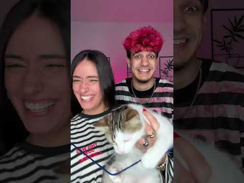 Así grabamos el filtro viral con nuestro gato!🥰😋