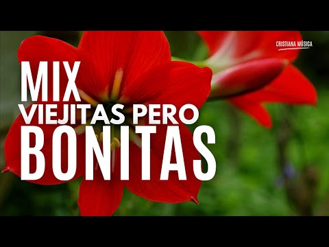 MIX VIEJITAS pero Bonitas / Alabanzas con PODER