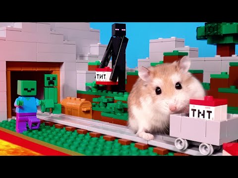 Major Hamster is MINECRAFT MASTER - Real pet hamster in Minecraft world