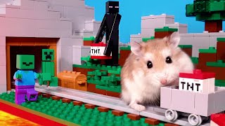 Major Hamster is MINECRAFT MASTER - Real pet hamster in Minecraft world