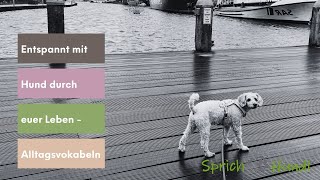 Mehr Entspannung im Zusammenleben mit deinem Hund!